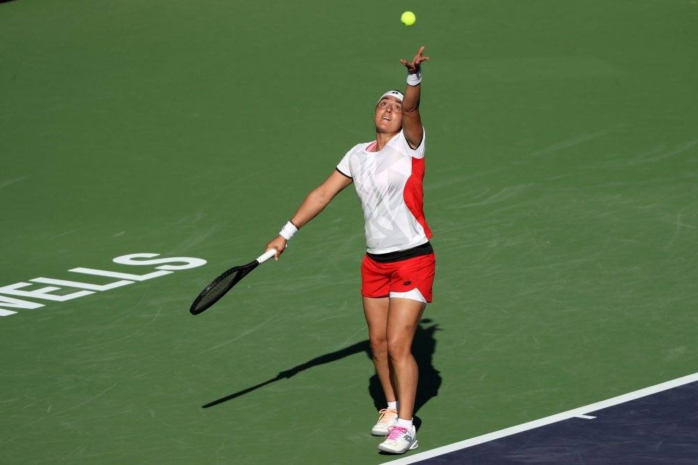 他们将在新 他们将在新