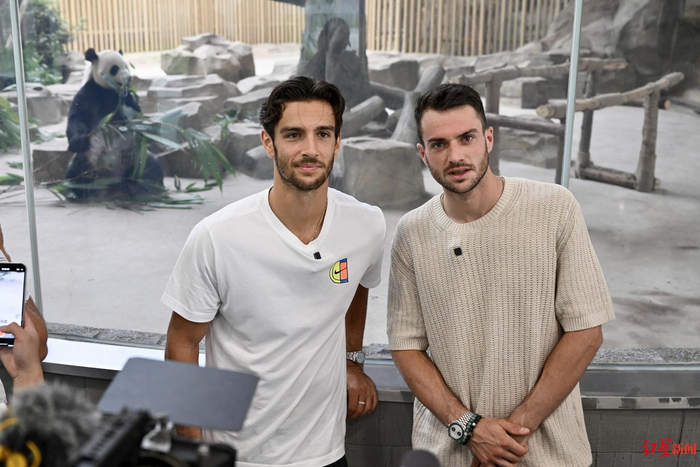 在观察一次 在观察一次