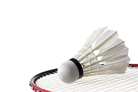 可为其他俱 可为其他俱