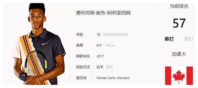 巨星罗伯托